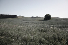 Killikus&reg; Fotographie